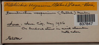 Image Associated With the Occurence